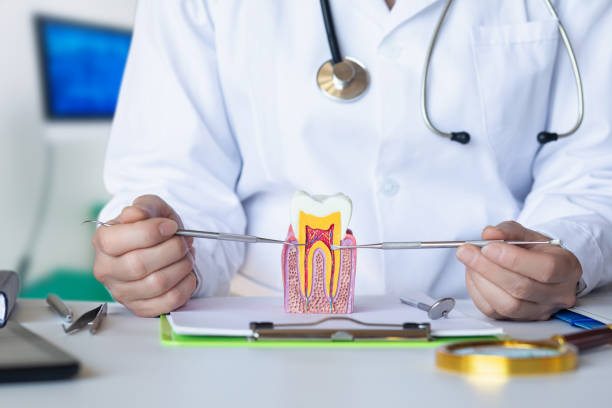 Best Root Canal Emergency Dentist  in Lincoln, MT